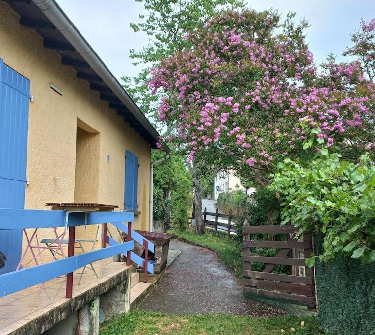 Maison Au Pied De La Montagne Aspet Bagian luar foto