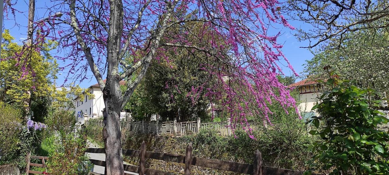 Maison Au Pied De La Montagne Aspet Bagian luar foto